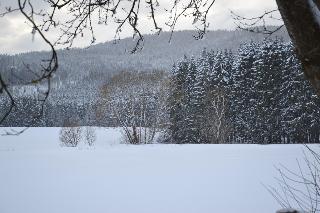 Hans-Girgl-Hof in Langdorf