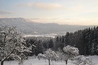 Hans-Girgl-Hof in Langdorf