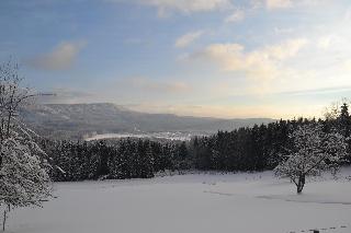 Hans-Girgl-Hof in Langdorf