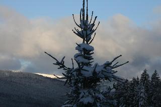 Pension zum Lusenblick  in Mauth