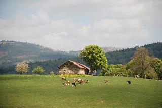 Pension Bayerwald in Frauenau