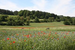 Ferienwohnungen Christine in Bad Staffelstein OT Frauendorf