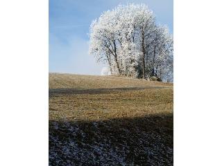 Gerda´s Ferienhäuser in Eppenschlag