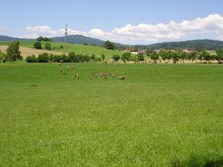 Gerda´s Ferienhäuser in Eppenschlag