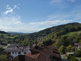 Ferienwohnungen Sachsenblick in Grafenau