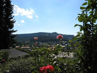 Ferienwohnungen Christa in Bodenmais