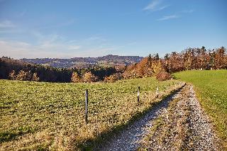 Ferienwohnungen Wald und Wiese in Waldkirchen