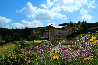 Berghotel Mooshütte in Lohberg