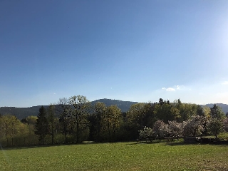 Steinbühler Hof - Stressfrei am Lande in Bad Kötzting