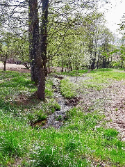 Steinbühler Hof - Stressfrei am Lande in Bad Kötzting