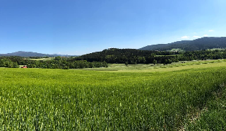 Steinbühler Hof - Stressfrei am Lande in Bad Kötzting