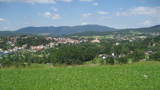 Weber Rosa in Bad Kötzting