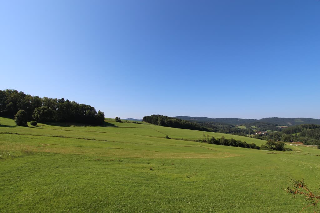 Weber Rosa in Bad Kötzting