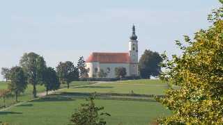 Weber Rosa in Bad Kötzting