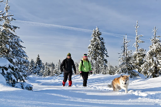 Blockhäuser & Chalets Bayerischer Wald  in Bad Kötzting