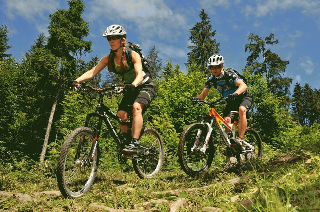 Blockhäuser & Chalets Bayerischer Wald  in Bad Kötzting