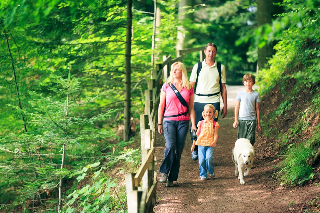 Blockhäuser & Chalets Bayerischer Wald  in Bad Kötzting