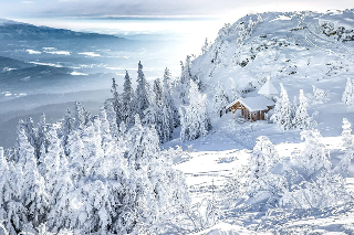 Blockhäuser & Chalets Bayerischer Wald  in Bad Kötzting