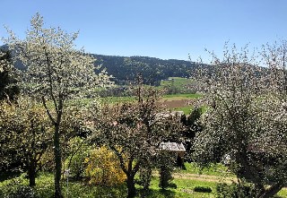 Steinbühler Hof - Stressfrei am Lande in Bad Kötzting