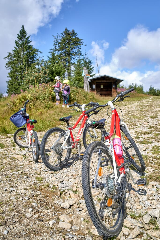 Wander & Aktivhotel Rösslwirt – WALD. GENUSS. HEIMAT in Lam