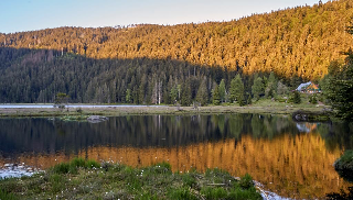 Wander & Aktivhotel Rösslwirt – WALD. GENUSS. HEIMAT in Lam