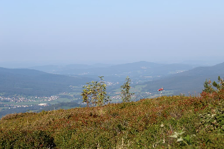 Wander & Aktivhotel Rösslwirt – WALD. GENUSS. HEIMAT in Lam