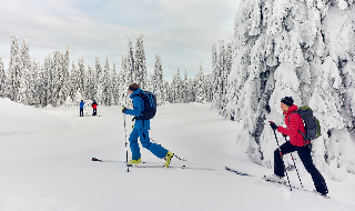 Wander & Aktivhotel Rösslwirt – WALD. GENUSS. HEIMAT in Lam