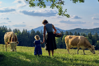 Wander & Aktivhotel Rösslwirt – WALD. GENUSS. HEIMAT in Lam