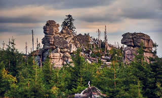 Wander & Aktivhotel Rösslwirt – WALD. GENUSS. HEIMAT in Lam