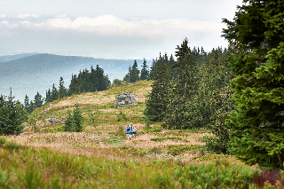 Wander & Aktivhotel Rösslwirt – WALD. GENUSS. HEIMAT in Lam