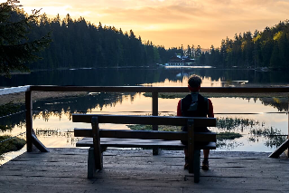 Wander & Aktivhotel Rösslwirt – WALD. GENUSS. HEIMAT in Lam