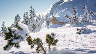 Wander & Aktivhotel Rösslwirt – WALD. GENUSS. HEIMAT in Lam