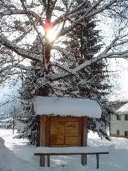 Gasthof Appartementhaus Söll`n in Lam