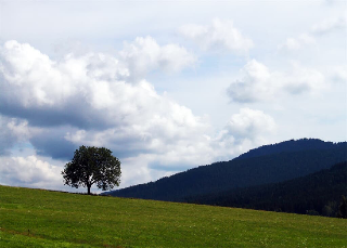 Haus Sonnenblick in Lam