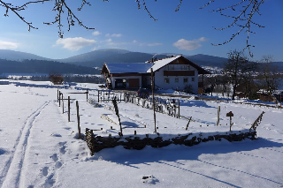 Ferienhof Pfeffer in Lam