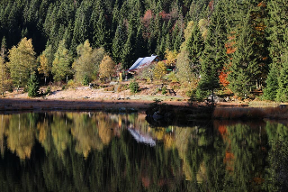 Am Kolbichtenhang in Lam