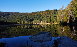 Ferienwohnungen-Riedl in Lam