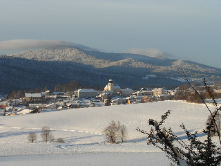 Ferienwohnungen-Riedl in Lam