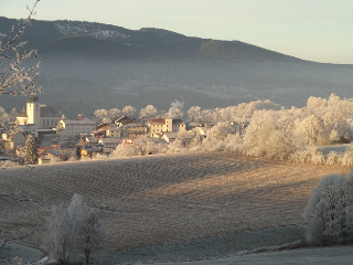 Ferienwohnungen-Riedl in Lam