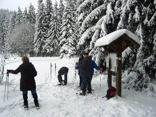 Ferienwohnungen-Riedl in Lam