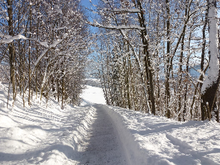 Huisl´s Wohlfühlhof in Lam