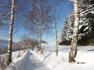 Huisl´s Wohlfühlhof in Lam