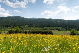 Huisl´s Wohlfühlhof in Lam