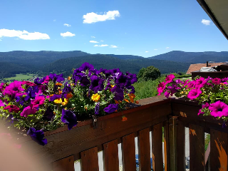 Appartements im Himmelreich - Himmlische Ferien  in Lam