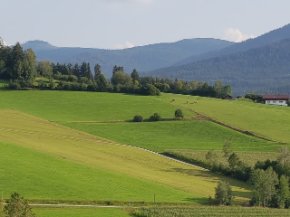 Wohnung Wiesengrün - Osserblick in Lam