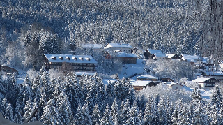 Appartementhaus Osserblick in Lohberg