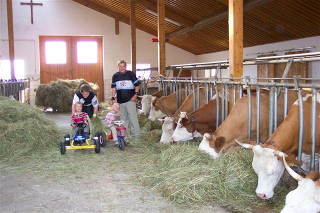 Urlaub auf dem Haberlhof in Lohberg