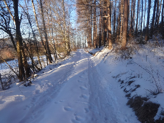 Urlaub auf dem Haberlhof in Lohberg