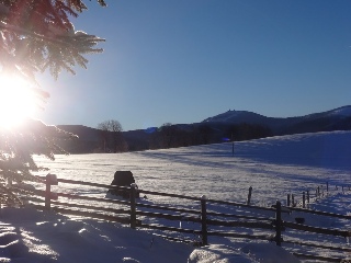 Urlaub auf dem Haberlhof in Lohberg