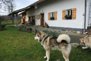 Ferienhaus Winter in Blaibach